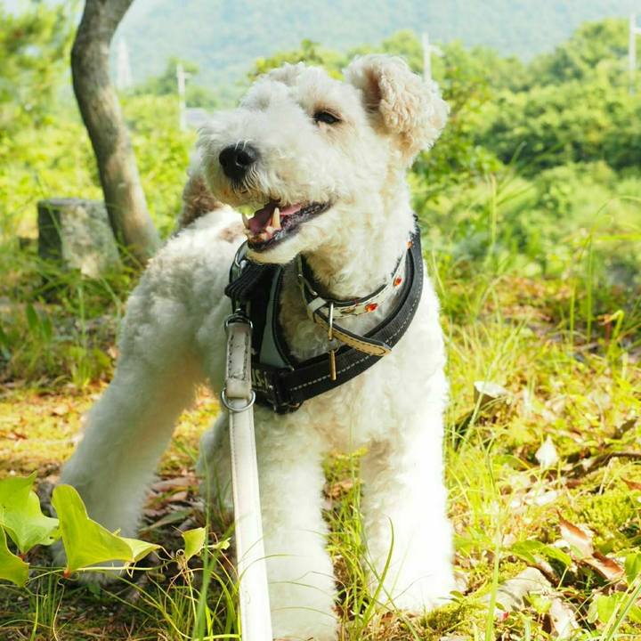 255ab65d 23a8 480a 9947 1bb58dddf33f 1537021982395