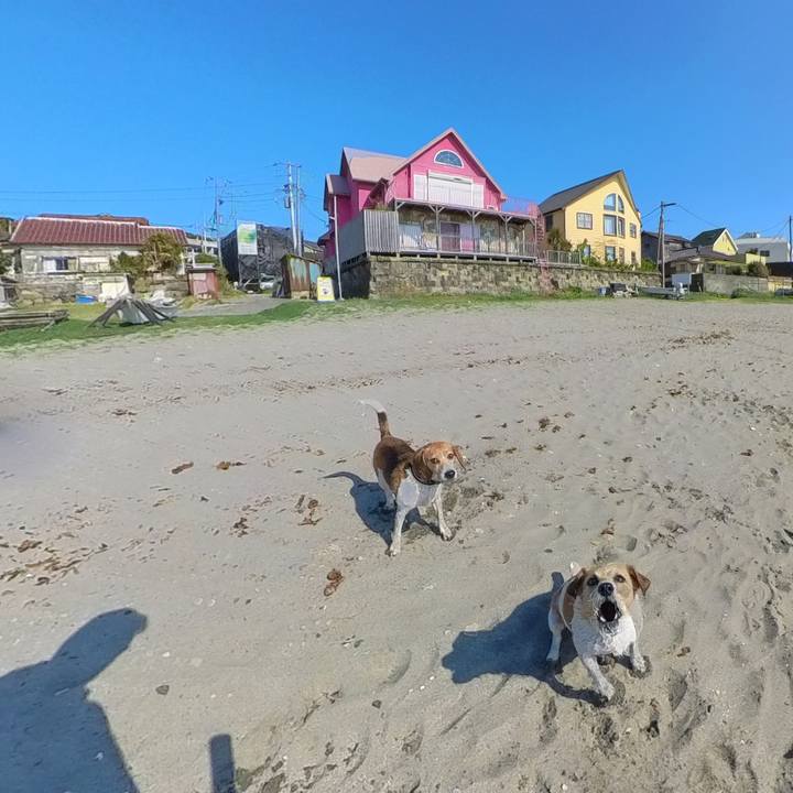 255ad3dc a500 4b8a 8ed3 deac10de6180 1680867548009