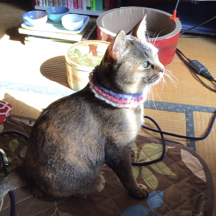 255aeef1 d594 40c6 9fc2 baf8af638dbf 1617751981971