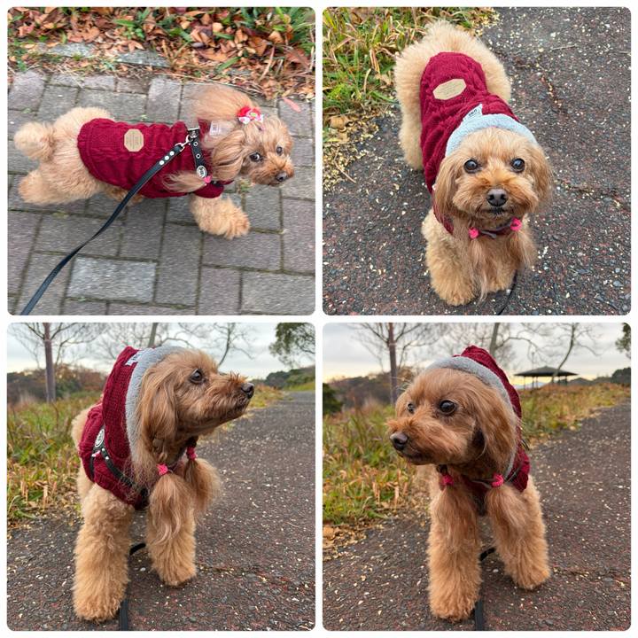 255afa0d cebd 43fb 99d5 65361d69057a 1766037310407