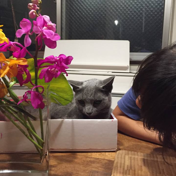 255b1136 3671 4495 9387 6e2c12045de5 1535326038143