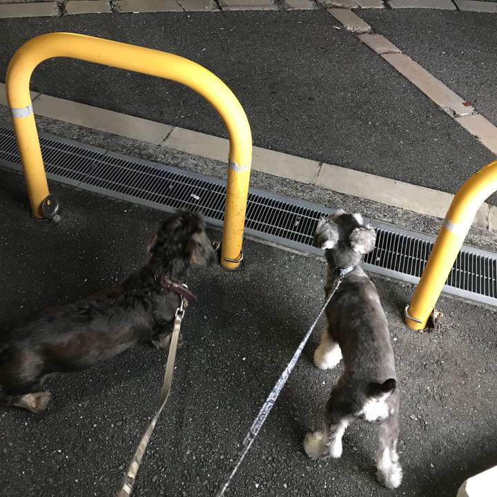 255b2ba2 0e10 4720 80a1 68baa19b3cc9 1568296286669