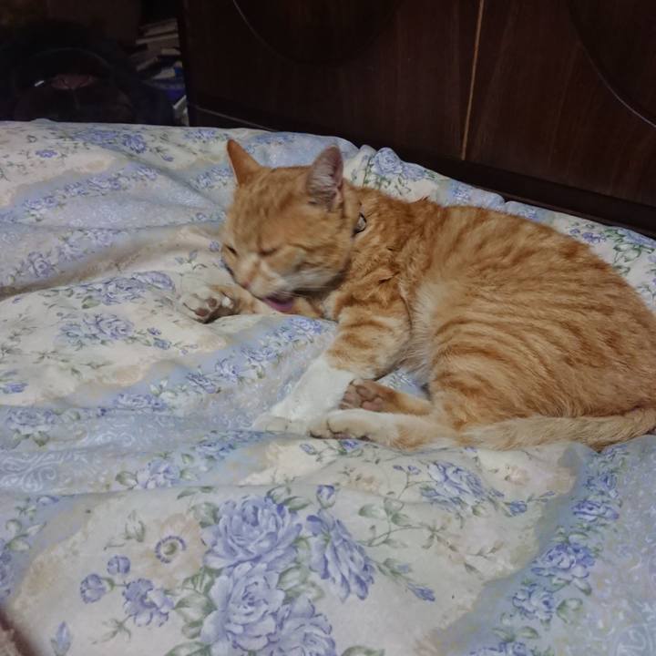 255b3c19 04cd 4a5e a22c a4b0e711a16a 1587988598297