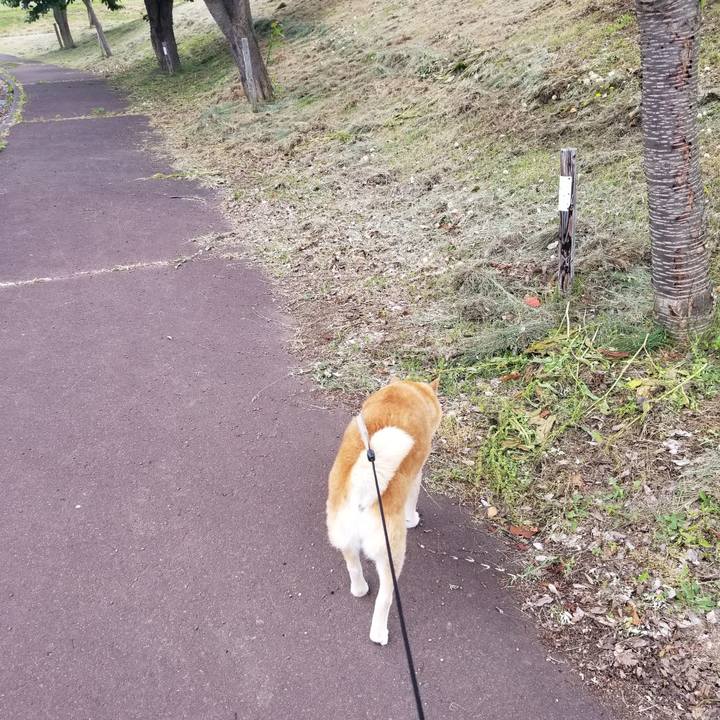 255b756e 094c 4120 ae3a 6b6a26765c4b 1718945669791