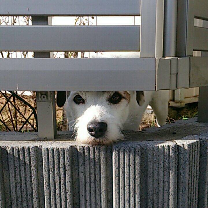 255b8586 899d 4078 af7e f38bbc64fada 1514502482815