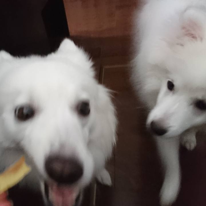 255ba3ae fe51 4522 a82e 347d2cdf37fb 1551491809669