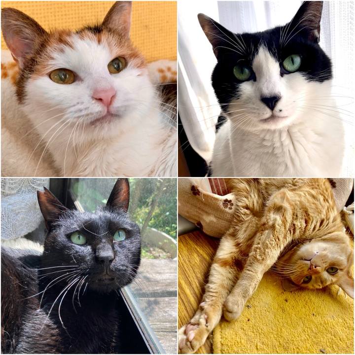 255bac3e b064 426b b27e 4defc5f186fb 1717204270119