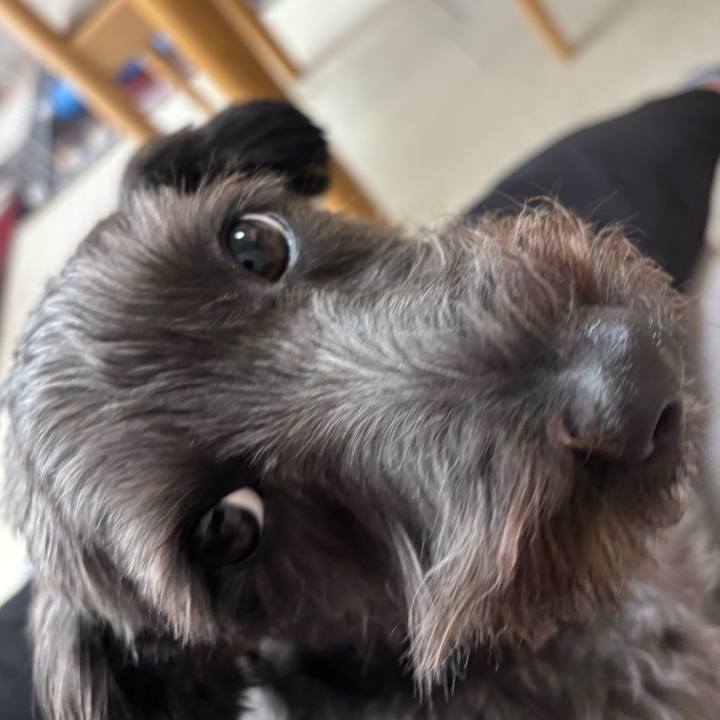 255be2c3 2ed6 460f bd03 ba659262cbca 1756734771128