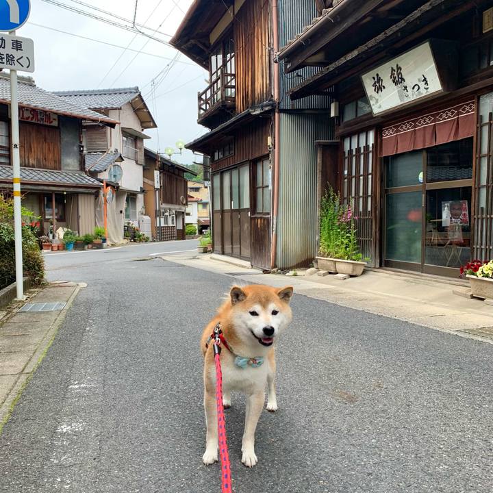 255bebee 137b 4357 b637 53eb03dc6016 1652622668069