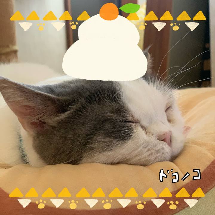 255bf1f1 acd9 4194 8008 22bf3b9d580d 1704163605772