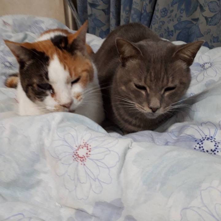 255bfb8a 28c5 4ab4 97b3 69e3257c40d6 1581731208495