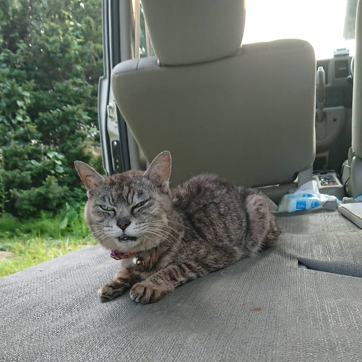 255c5637 7e73 4900 ab28 0fac502fcbd8 1596702951928