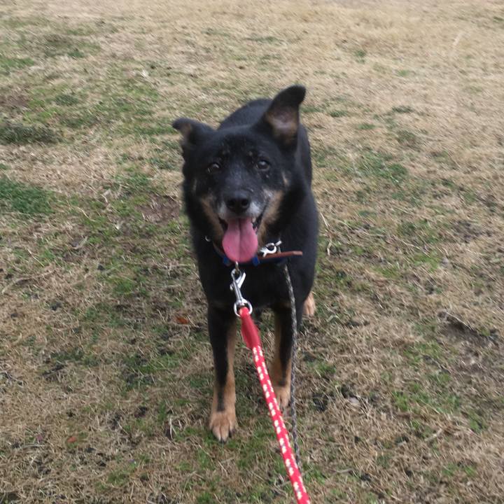 255c6171 b4c0 48fc 9138 8e667b9289d9 1516243695386