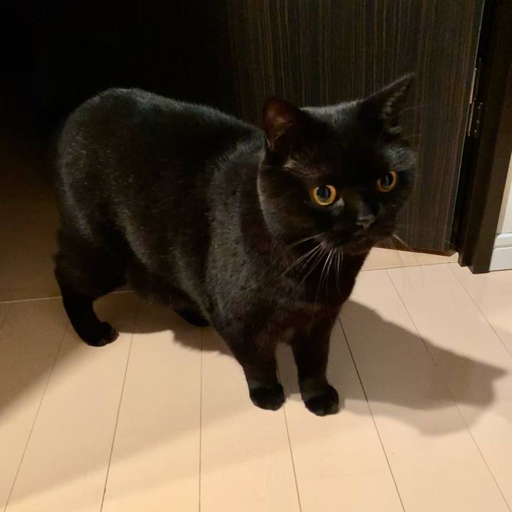 255c6bd5 0827 4b01 97b2 dc95d7dd5808 1699363905687