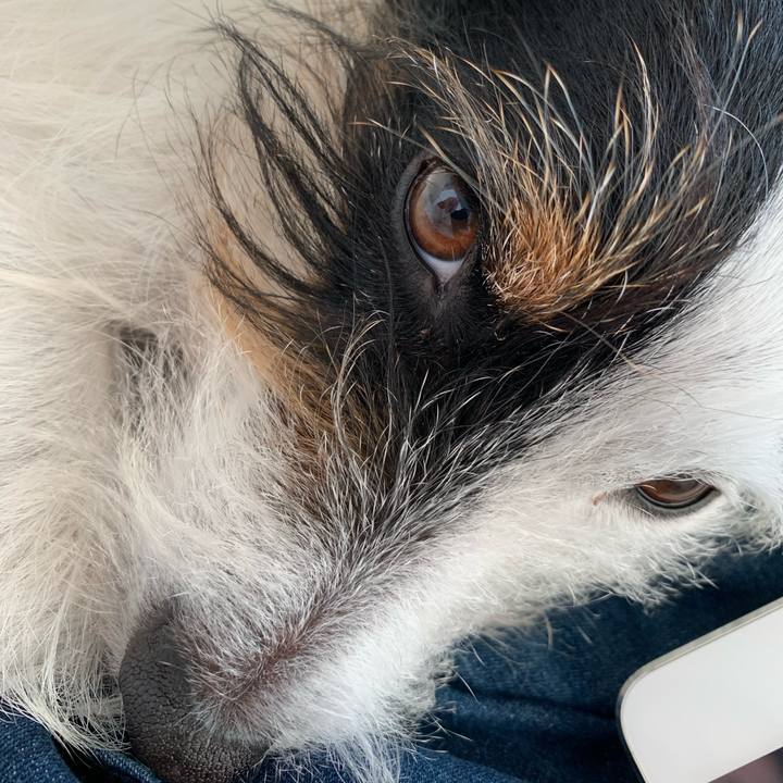 255ca748 2a38 4915 84d2 d542f65dd27e 1639030914564