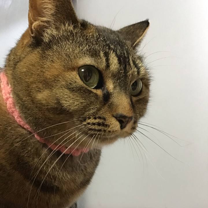 255cbc0e 42e6 4674 9fff e05e7a1f39bd 1743497180888