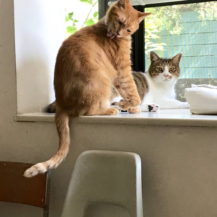 255cc950 2958 4e62 9d73 82701e41b1a4 1564376032643