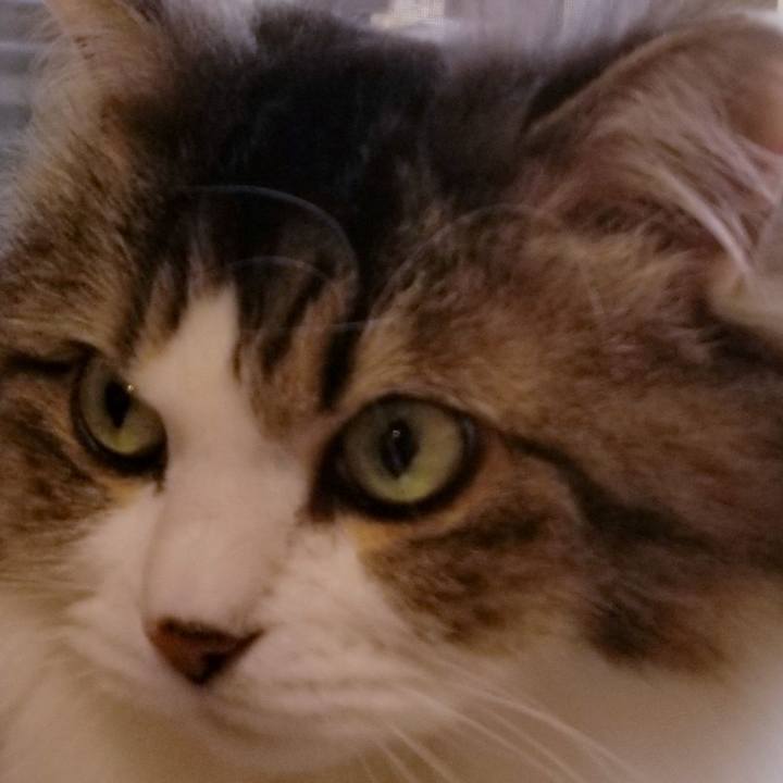 255d013f 0c3c 47fb 8346 95d92f8d2bcd 1549063186205