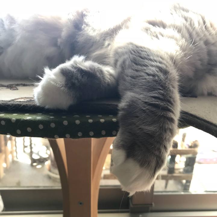 255d3718 34e1 479e bfe4 aeff4af0358b 1512177008189