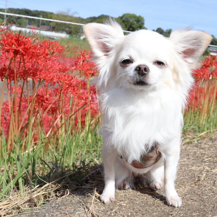 255d59f8 de8c 4fd6 8909 48b503c1bf55 1759615975849