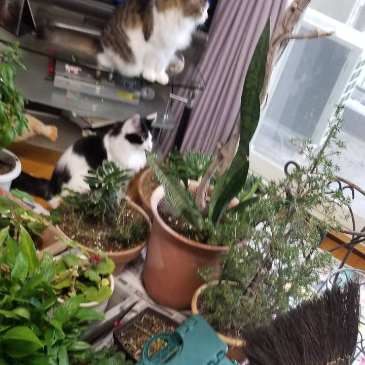 255d62a5 7a46 4dd6 9220 85893dc8eba0 1567981908848