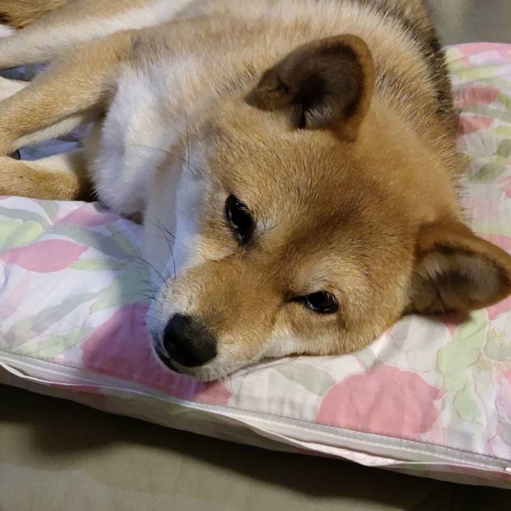 255d7586 c499 4599 9c5a baa2755558c7 1646864429172