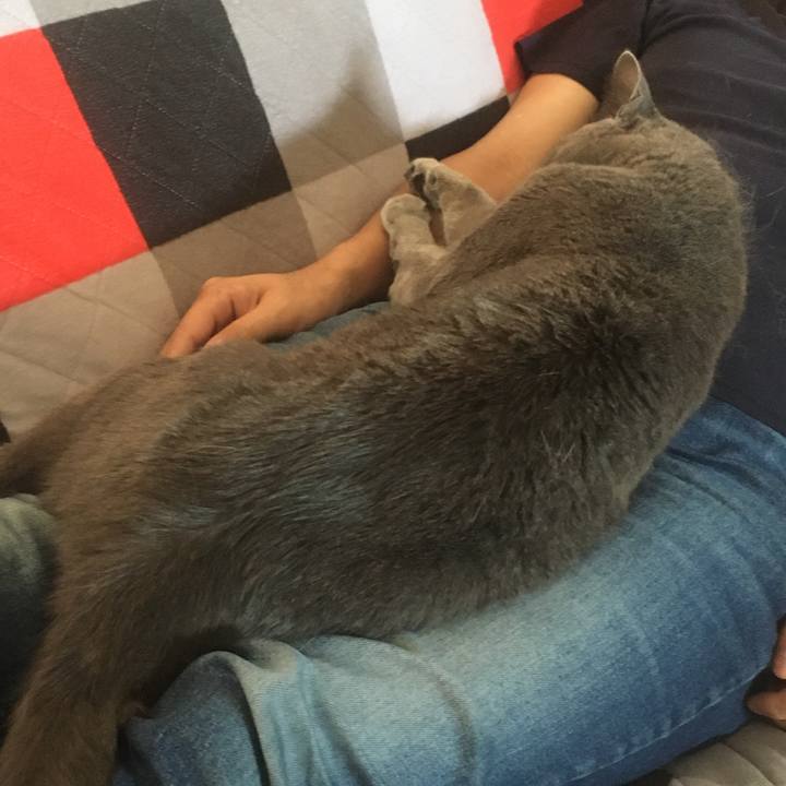 255d8948 b5d3 429b a7f8 89042c19d9ca 1654646958365