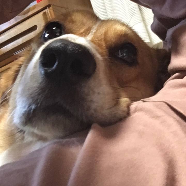 255db703 e3e1 4cac ae45 21d60acc8abb 1662600967248