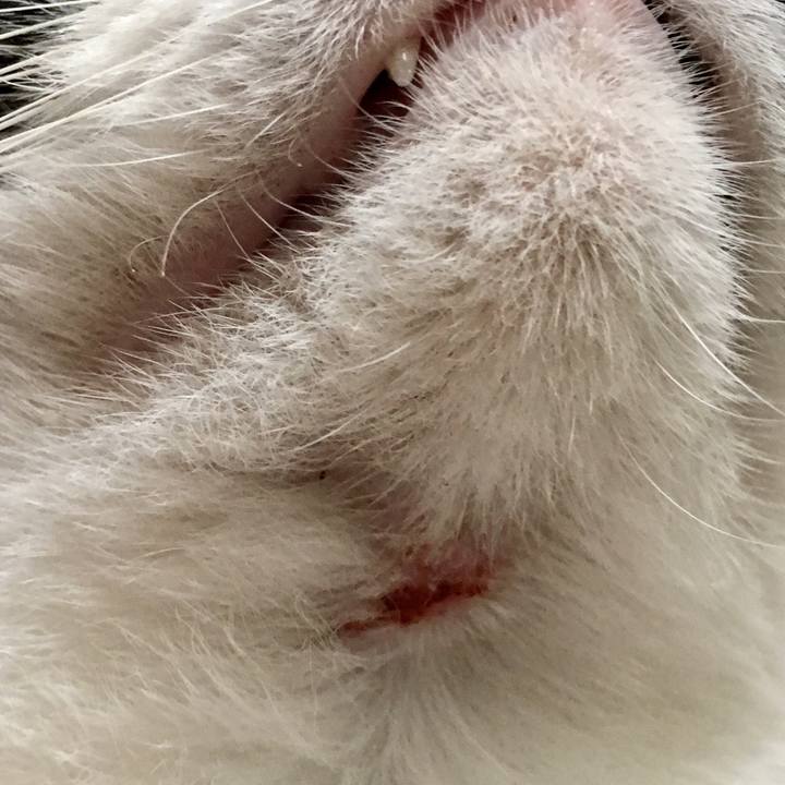 255e4fa6 614a 47d1 becf 19ac032f9bba 1559811389383