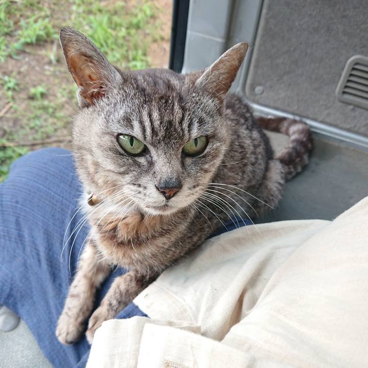 255e57ca ef97 45b9 a3dd 906d87cdae8c 1594241610091