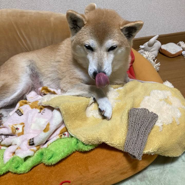 255ebd94 4c47 4bc1 b376 129905df0688 1640353266393