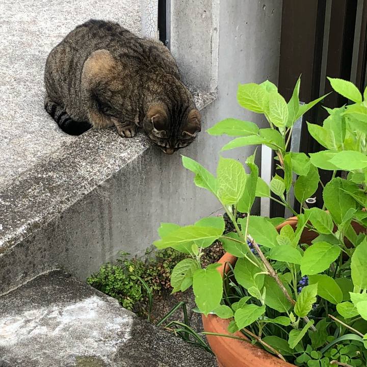 255ecae5 1557 42a3 849a 4ae7c776570d 1522989781266