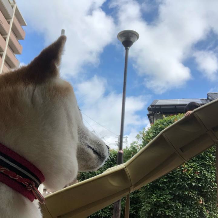 255ef093 8436 4bee 95e1 d4eaf3213203 1594252080208