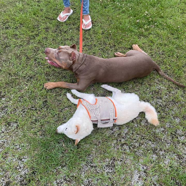 255ef2ff 693a 41e3 877f d865ebfcfe91 1657206119481