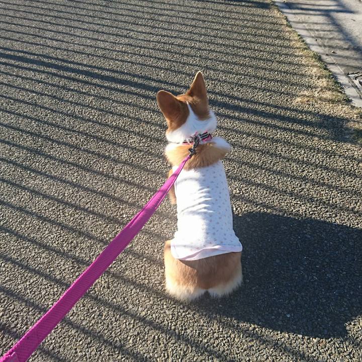 255efa72 5467 4acb bd44 e70ffa6c2752 1513163628415