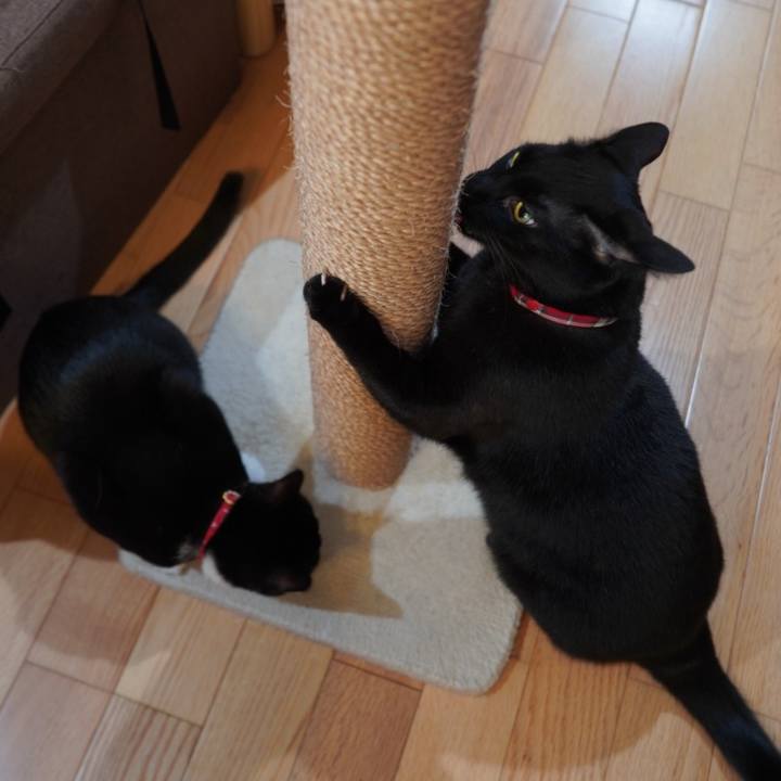 255f0219 941a 498a bf00 af34e6b2fa50 1609415296868