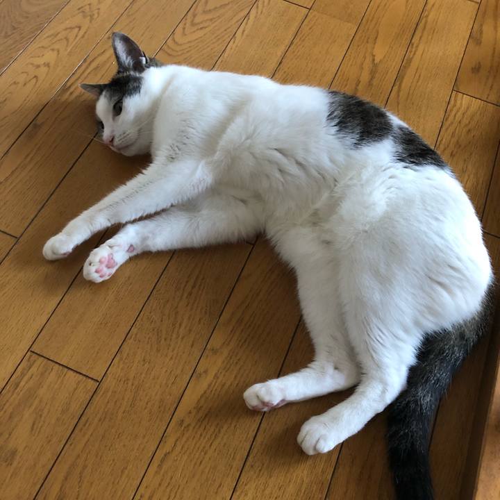 255f0375 86b6 4b9a a67c ca68ce826af2 1690843325513