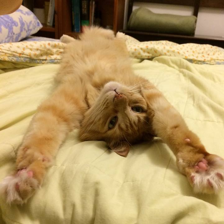 255f36d2 1cd0 46d2 a26f 84375626d06d 1519509311618