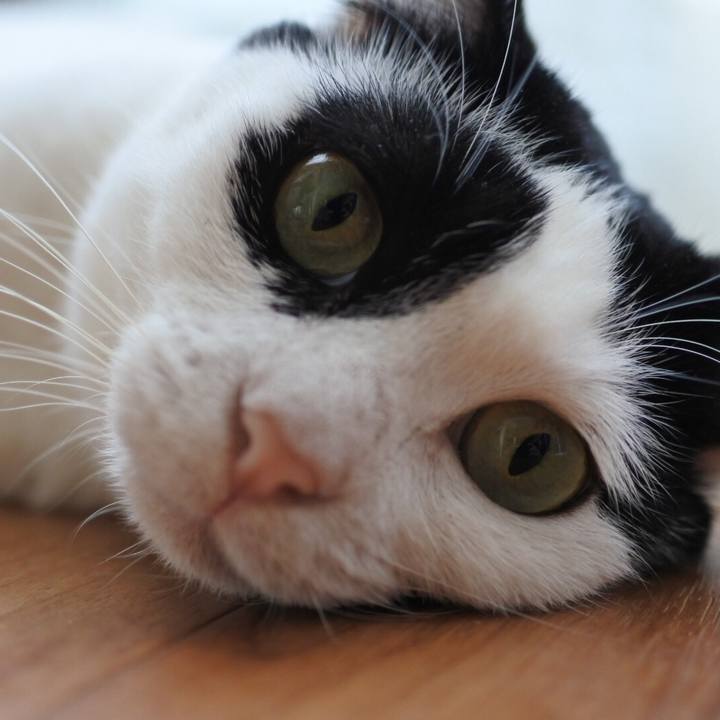 255f69c6 a138 4a99 aef4 9cb26f9e94a5 1523503578912