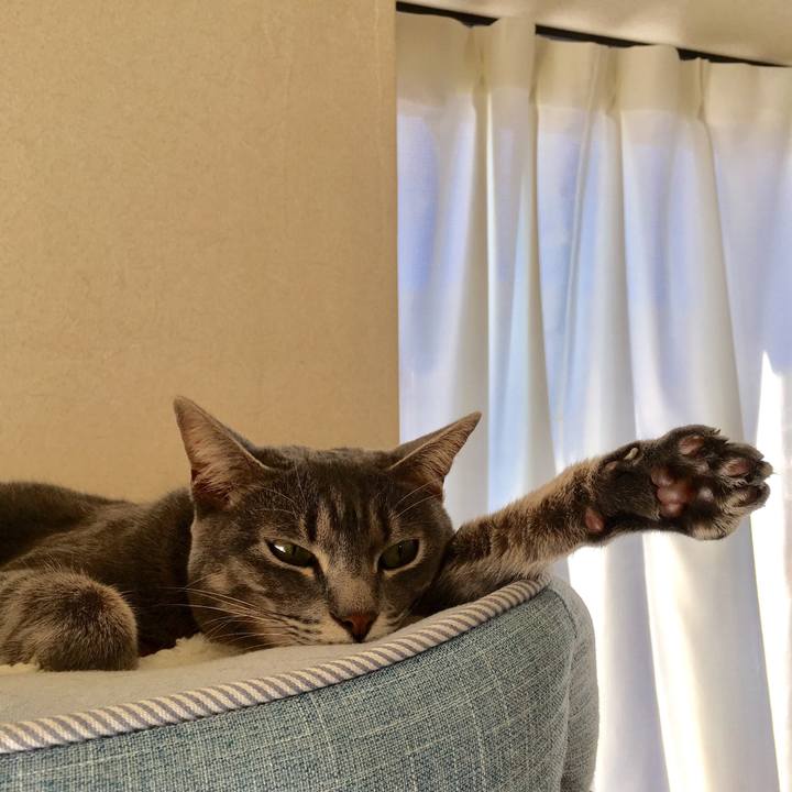 255f9a14 b3ce 4bf2 92a4 611f3d12bd1f 1515899774973