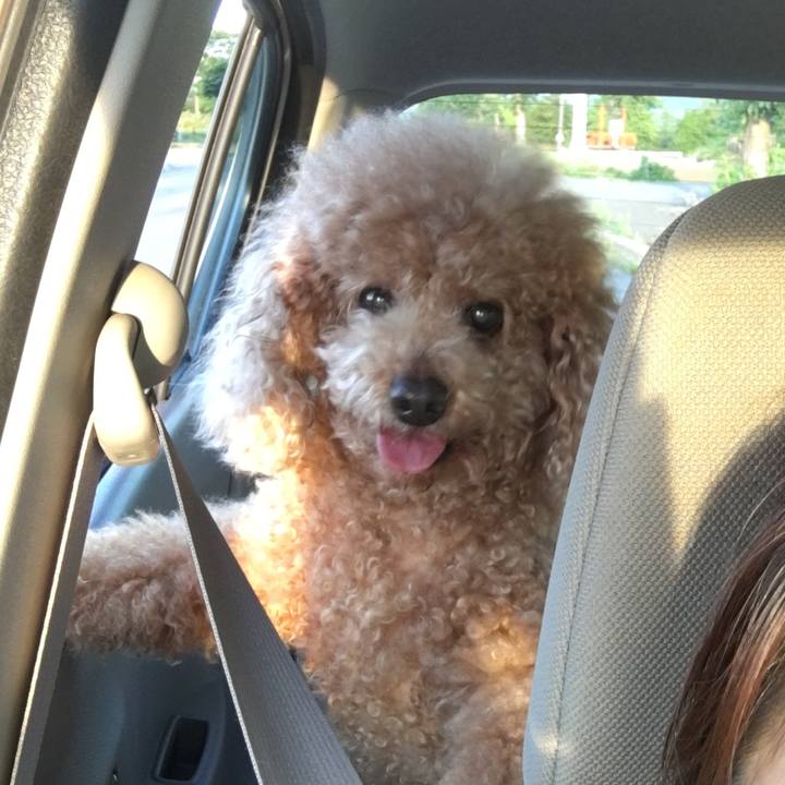 255fafe7 23b2 4583 b5c2 14d6f2cf1aab 1529415157830