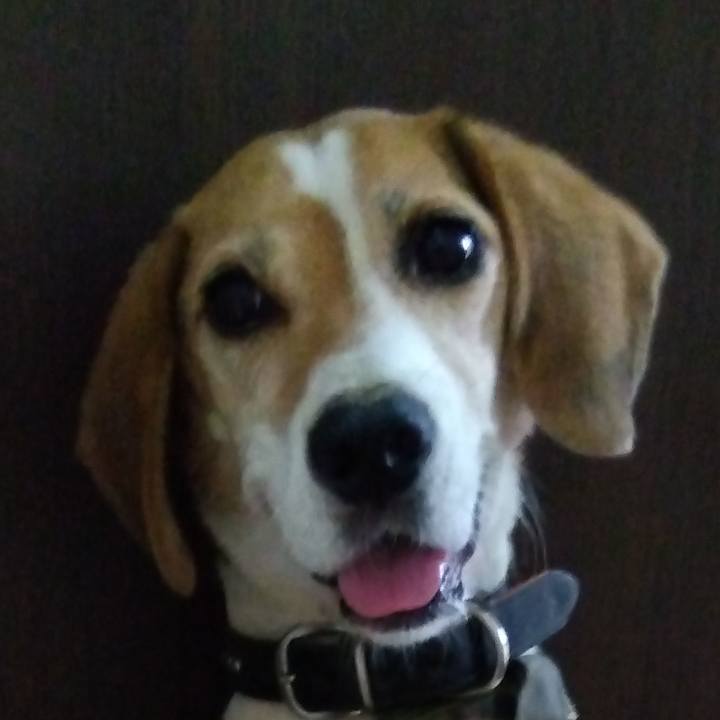 255fee66 a0aa 45e7 b2c9 efef99443654 1694856697385