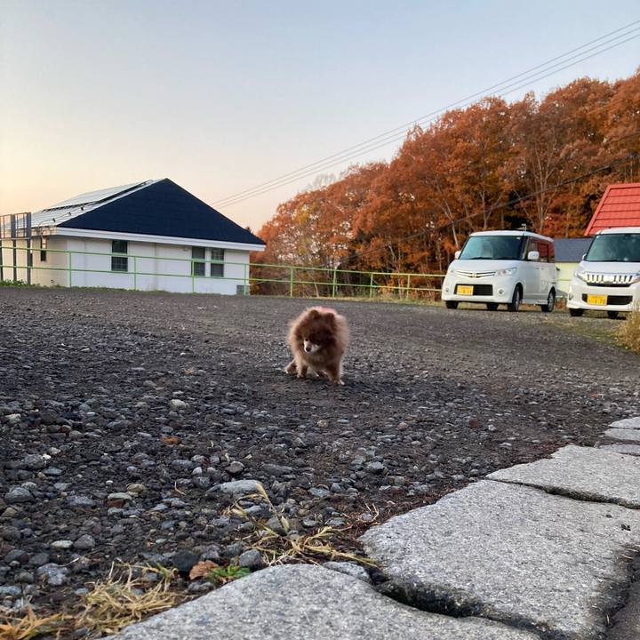 25600042 26d2 4041 a5da 00529a234a81 1731740074852