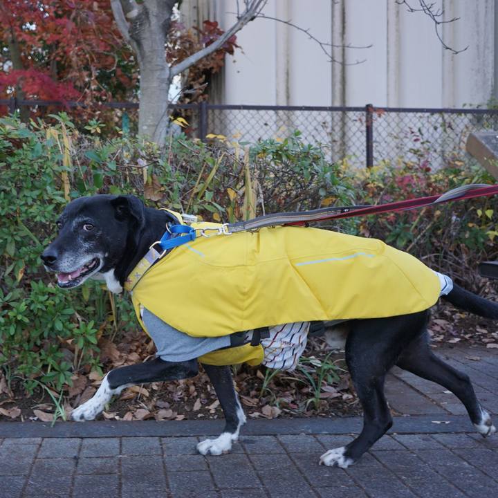 256037ff 9bef 4b6a a22c 8968aaf97f56 1766018129169