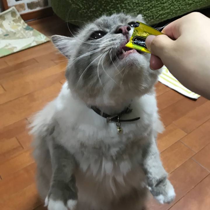 25603919 0123 4fb9 a5ec 3e0e438118cb 1532606006620