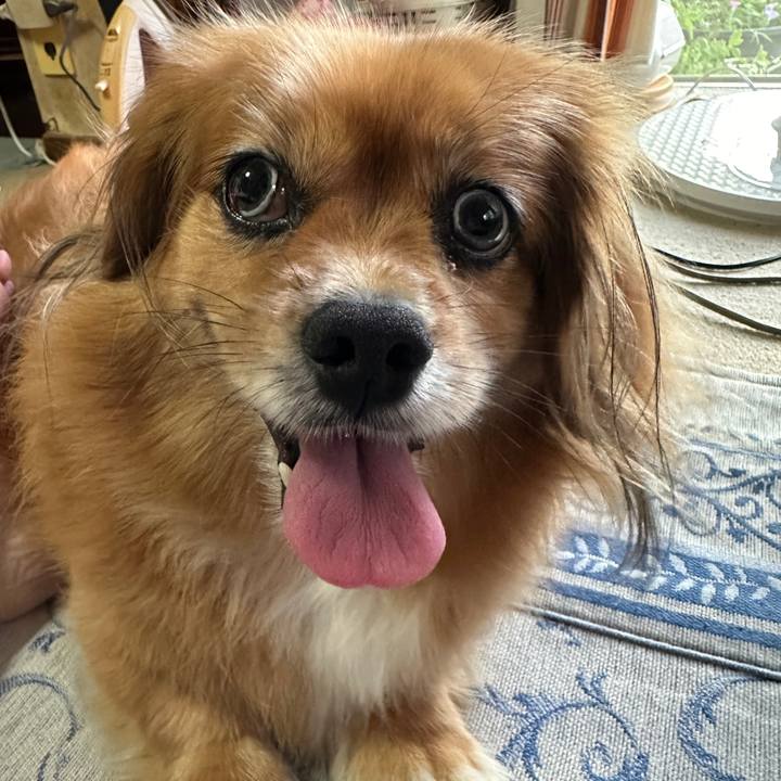 25604e2f 938f 464b a955 13b3f6247931 1722719364076