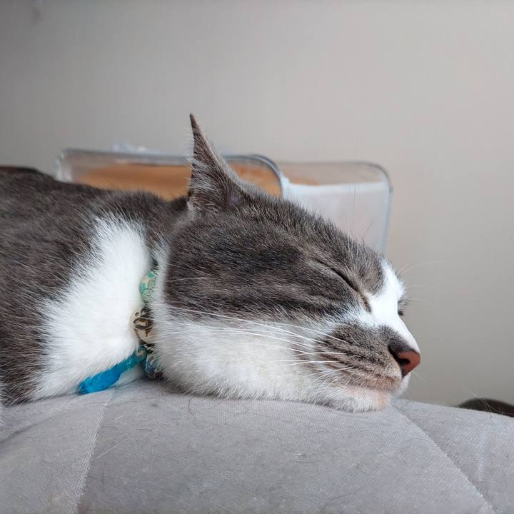 25604ec1 b9dd 4f74 a452 9b3bfa8c0522 1686440557268