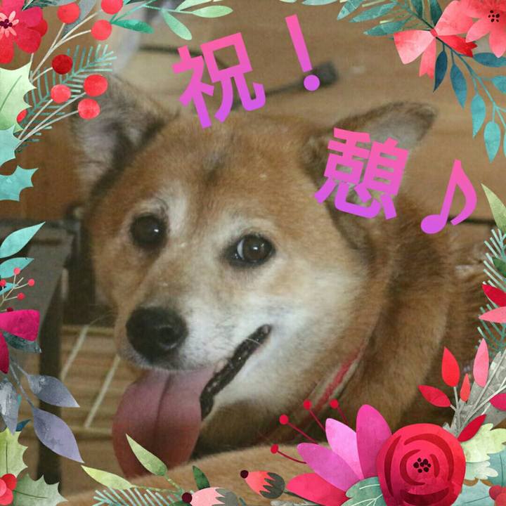 2560508f d341 4017 a782 bb47a9a55005 1624777233921