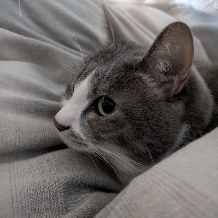 25605576 a0f1 4907 a203 05a87e859cb6 1765768441399