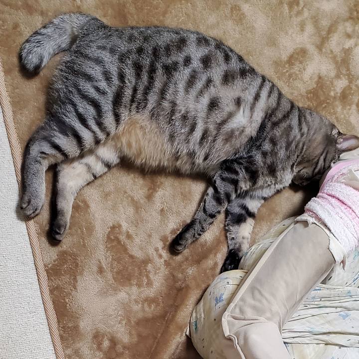 2560adee 03a0 4460 8872 04aae5092e9f 1712892091452